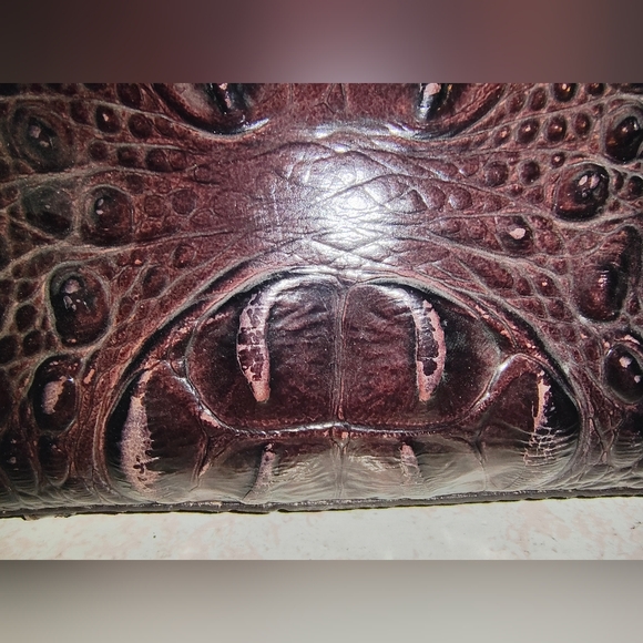 Brahmin Cocoa Tasseled Asher Tote - Picture 7 of 13